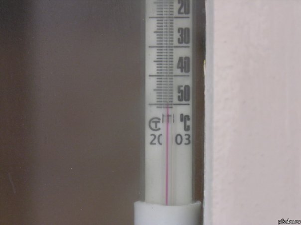 �.������. 2010 �.