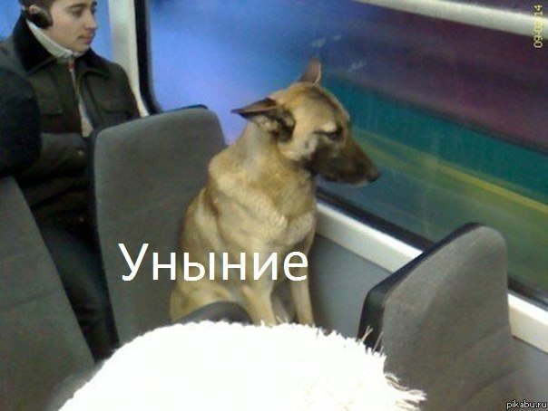 Завтра на работу.