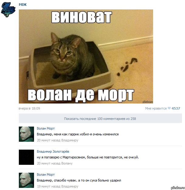 �����������, ������� �������