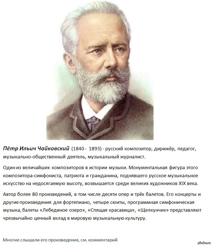 ϸ�� ����������