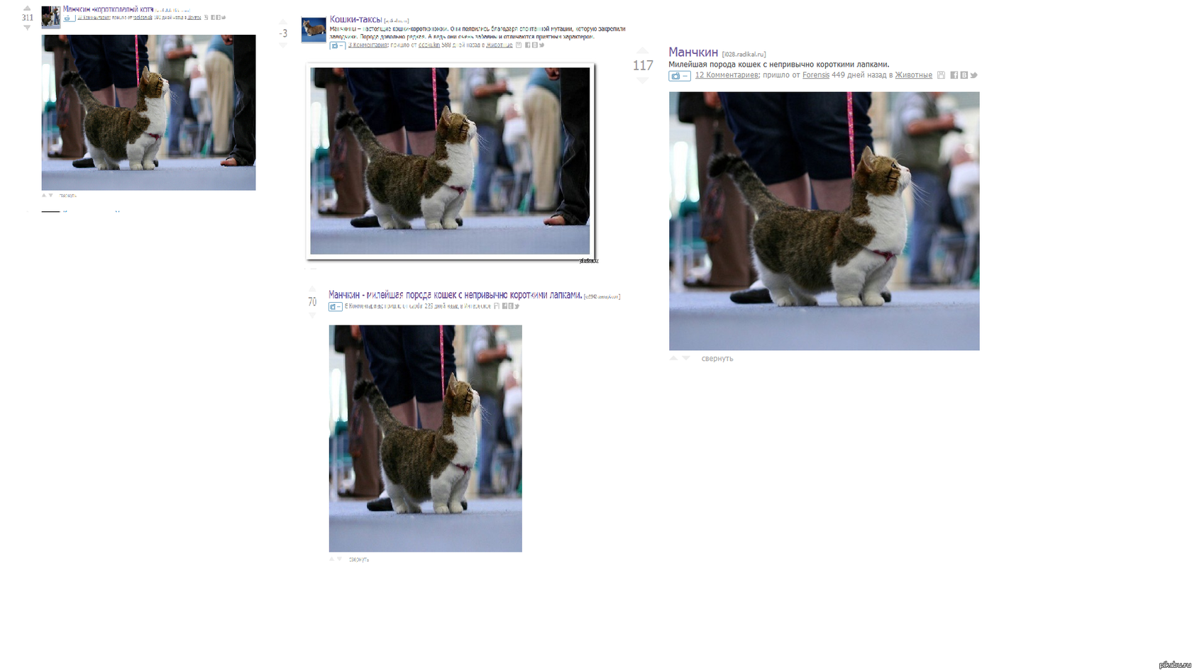 ��� ���������� ����� ��������?�����