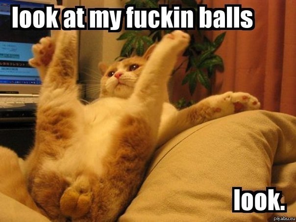 Look.