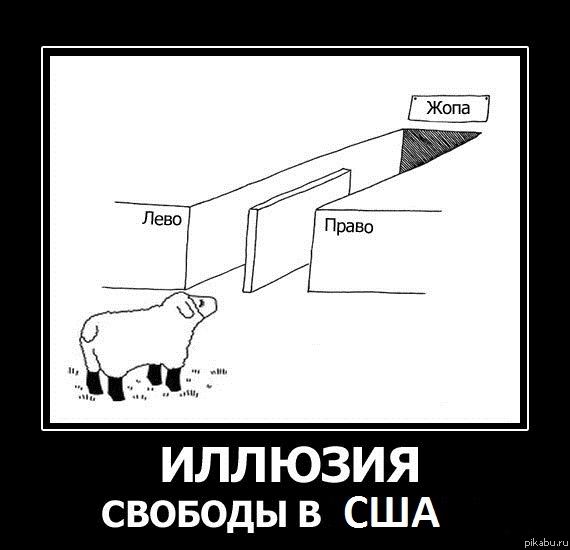 В ответ