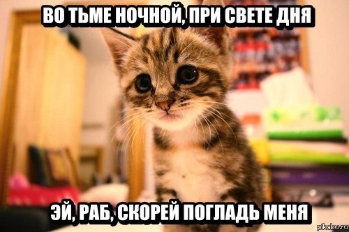 ���� ;)
