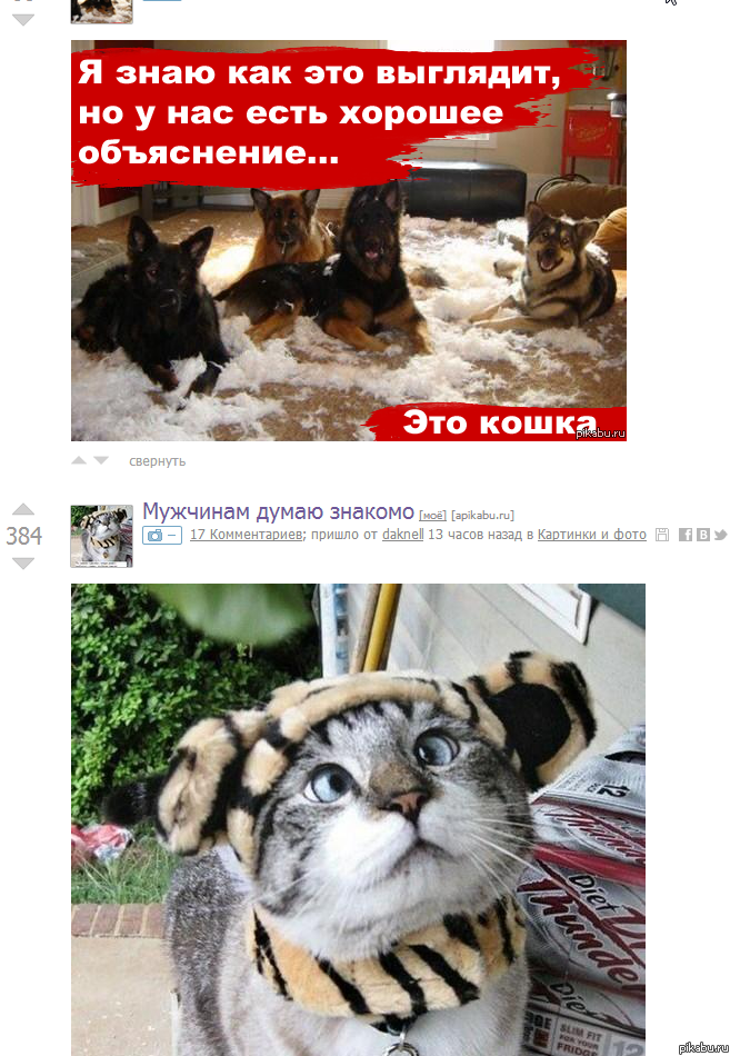 Пикабу опять радует.