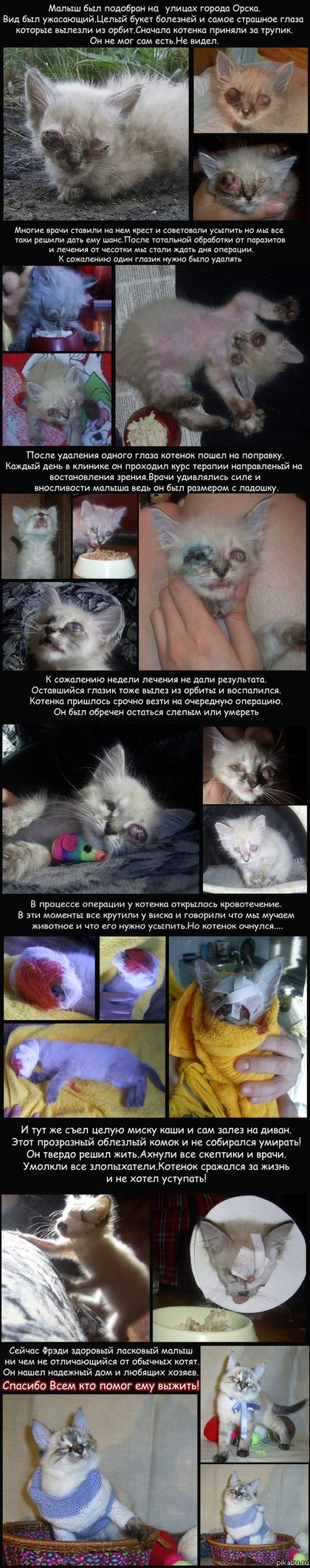 � ������� ���� ����� �� �����