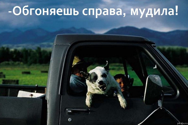 ���� �� �������