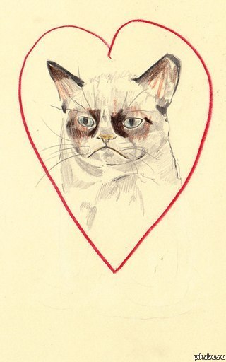 Всем известный котэ