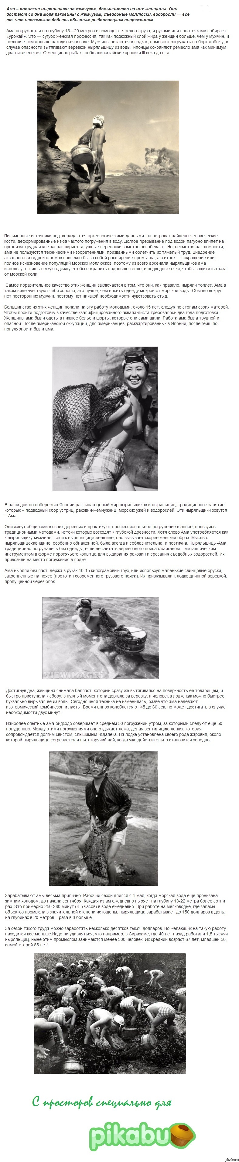 ������� ���������