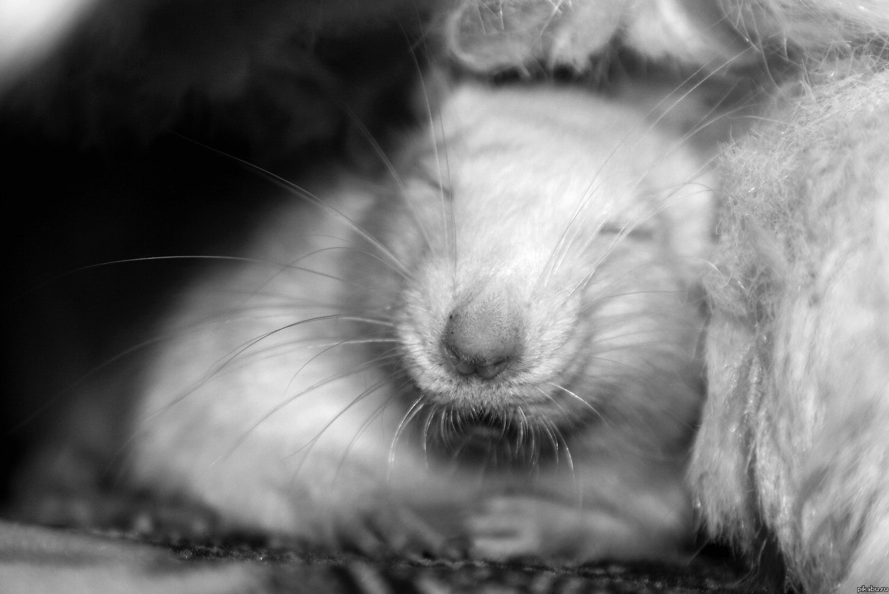 � ���� ������ � �������,� ���� ���� �����^^