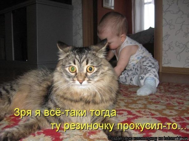 раньше надо было думать....