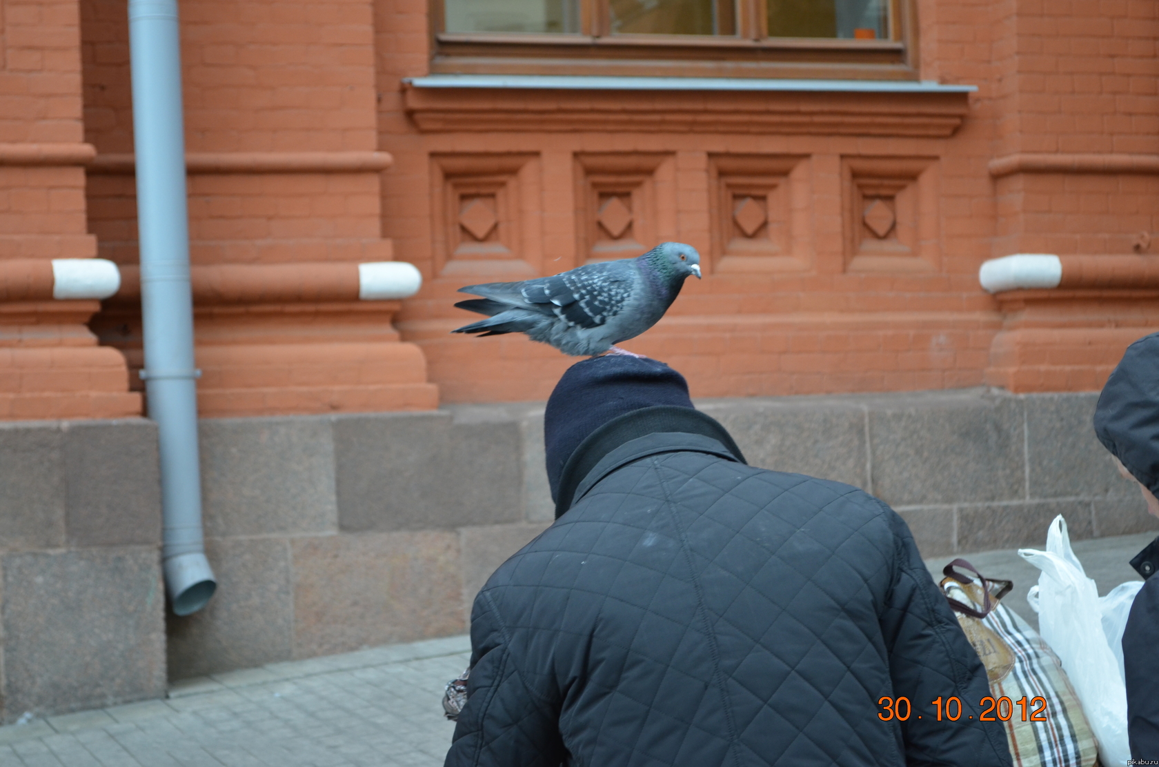 вместо котейки