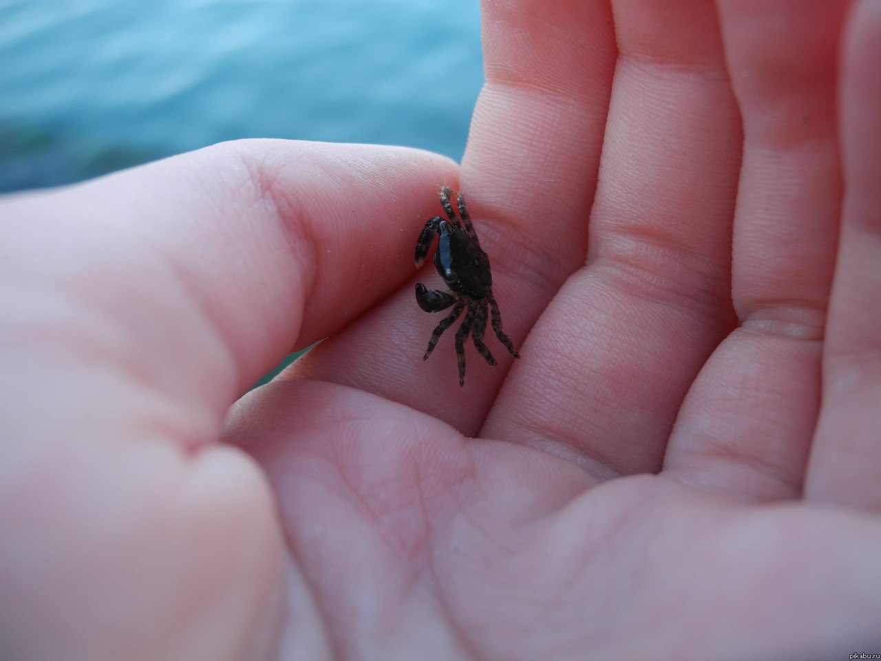 МикроНяшка^^