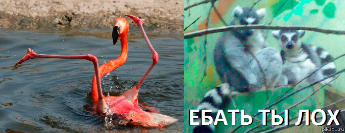 ���������)))