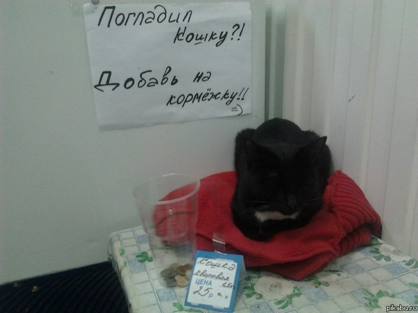 ������� � ������.