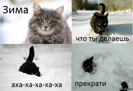    . (  ,      ...) 