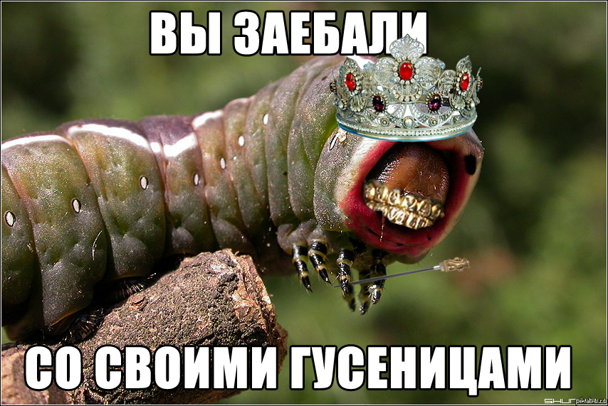 ���������!