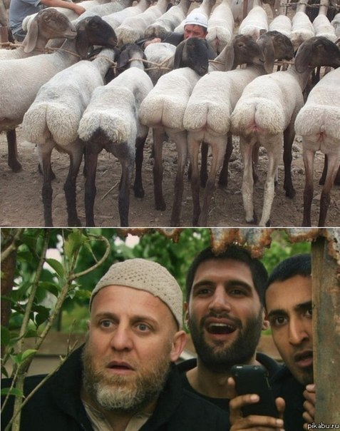 Восторг в глазах)
