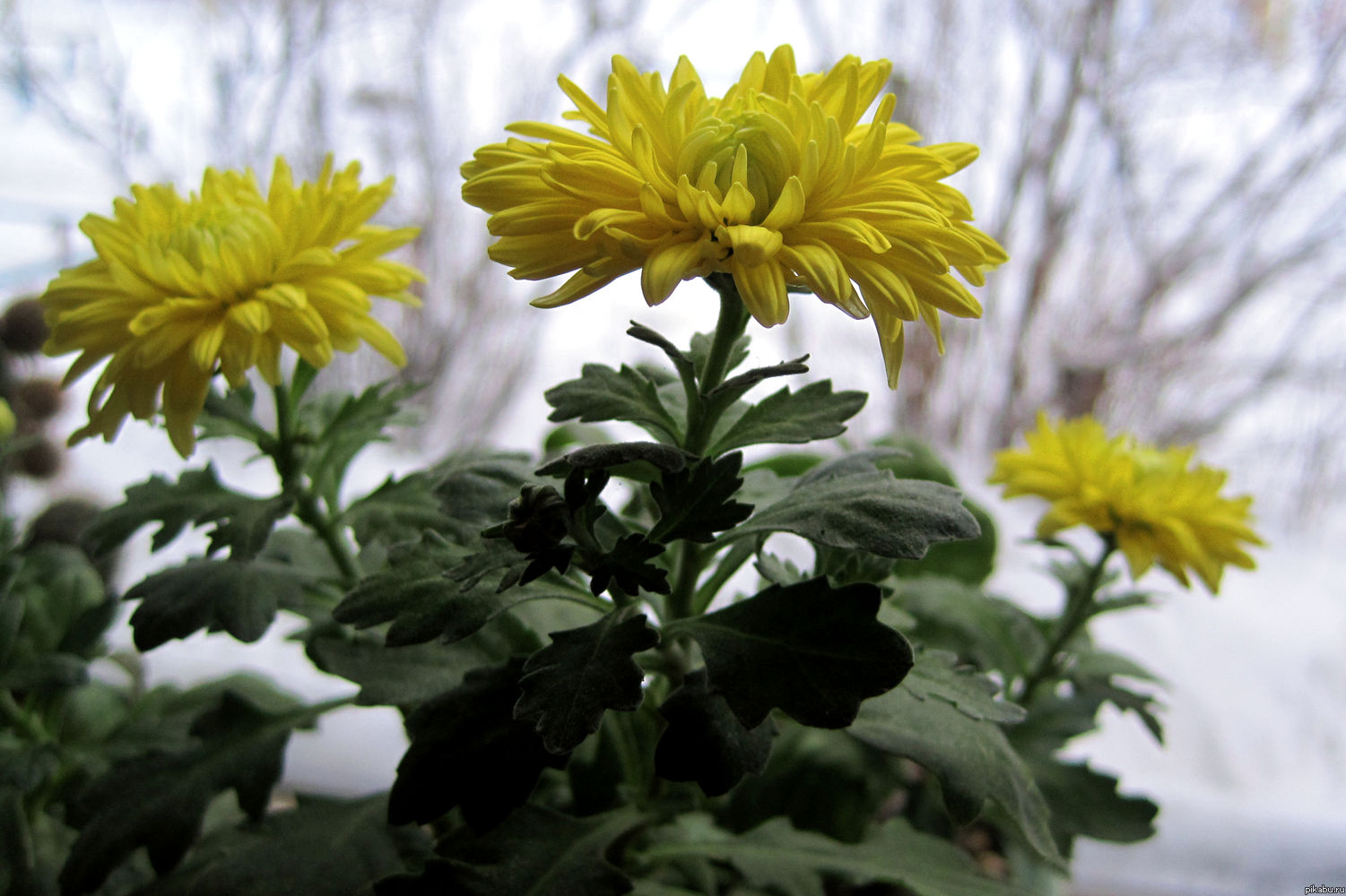 �� ���� �������� ����������, � �� ����� ��� ����...