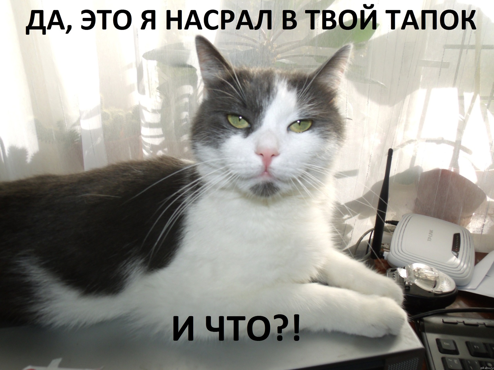 ��, ��� �...