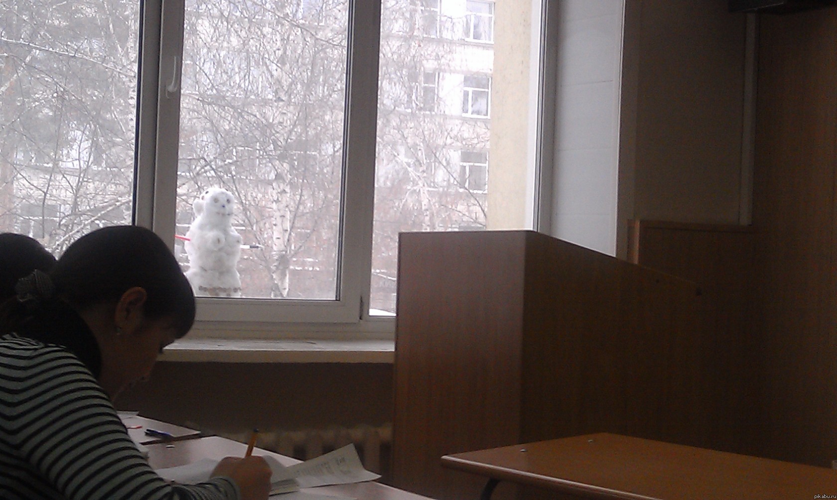 ������� ����������� �� ��������