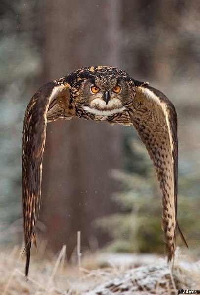 Удачный кадр