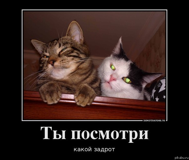 Они знают.