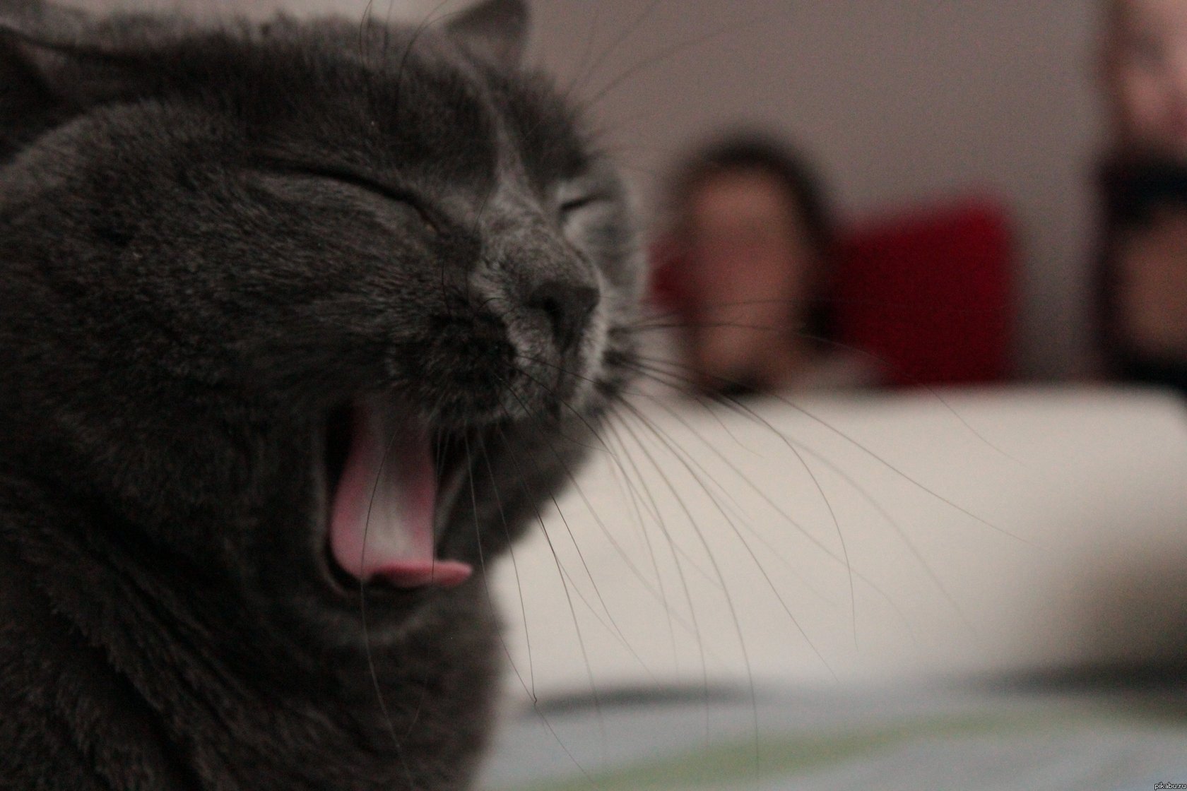 ������ ;-)