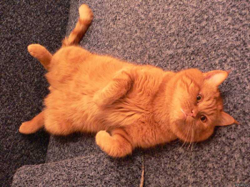 ��� ������� �� ���,�� ��������...