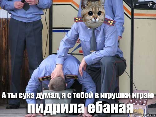 ��� ����� �������� �������