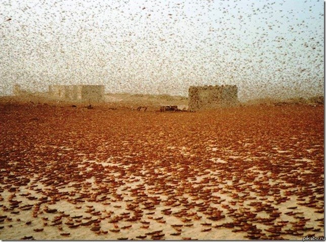 ,              ()  1875 :    180 , 3000 .