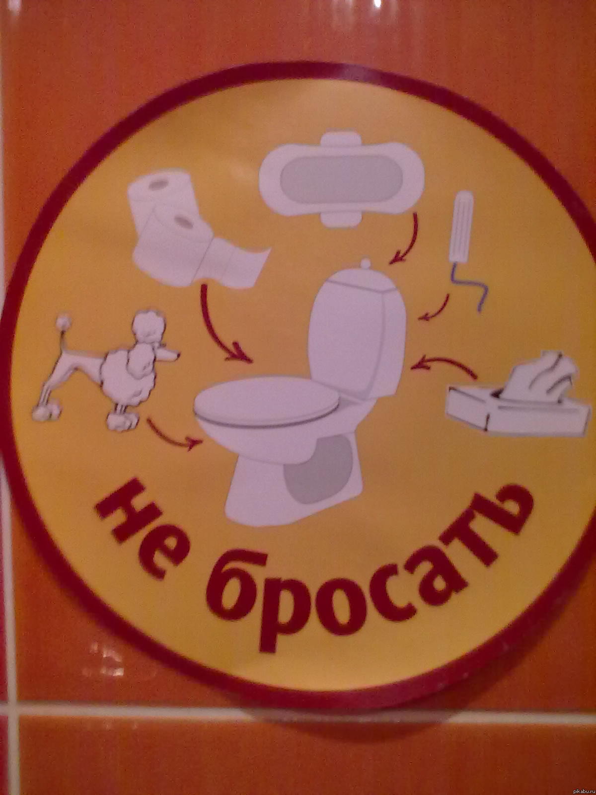 ������� ���������� �������