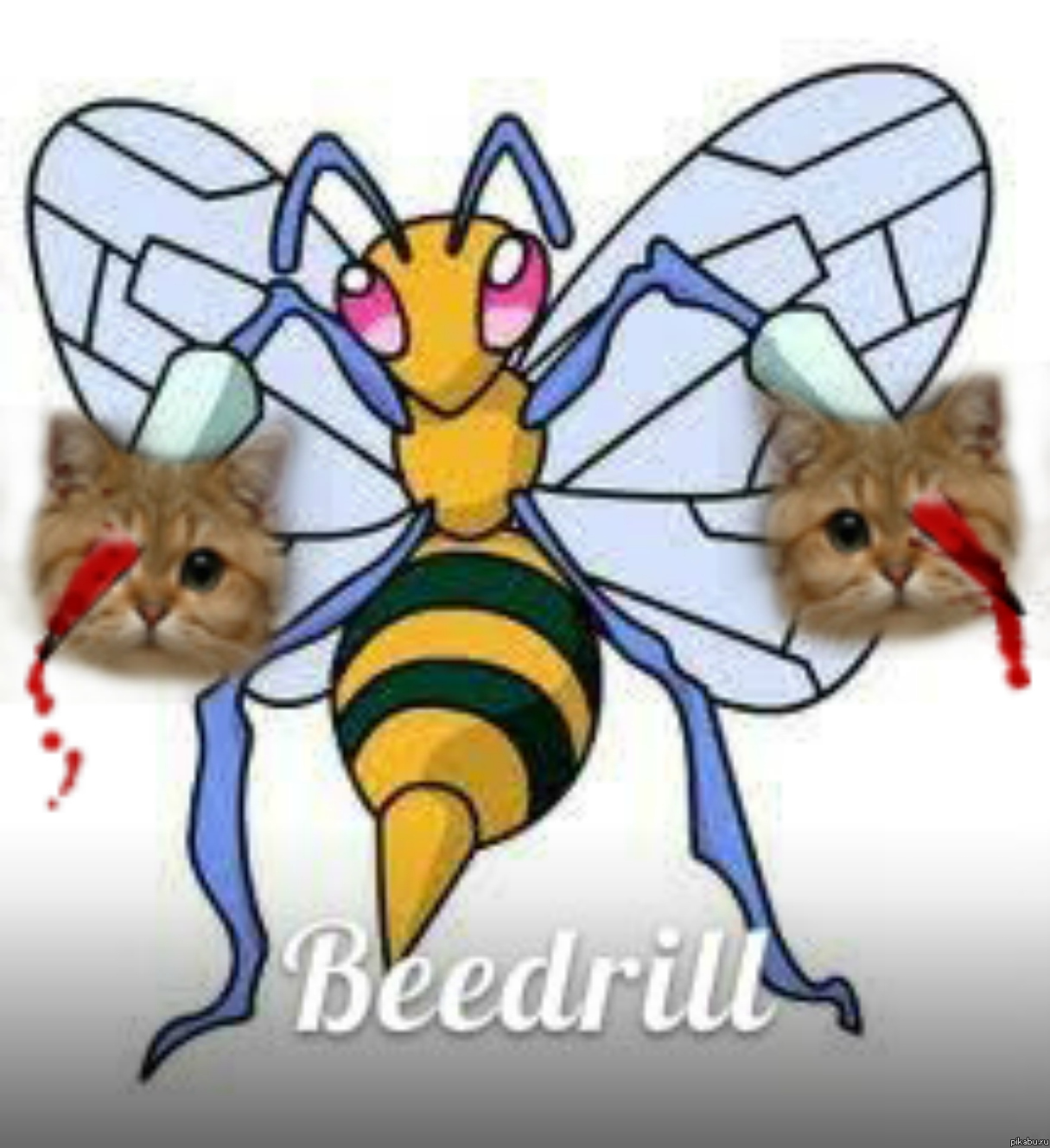 кого ты назвал?