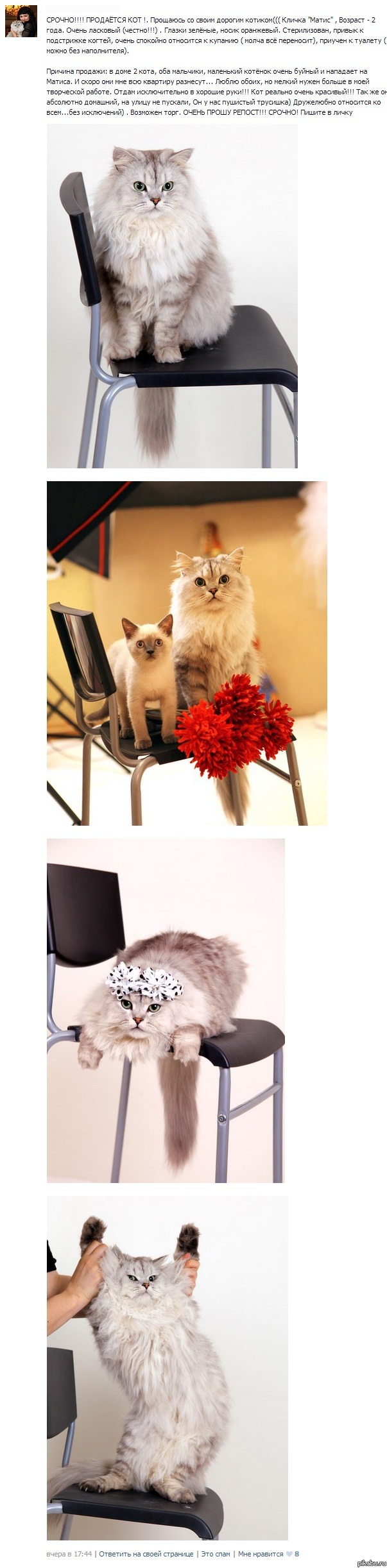 ������ ����� �� � ���� ����� ����������! ��� �� ���������! (����������)