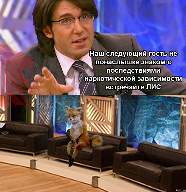 Привет,меня зовут лис и я наркоман.