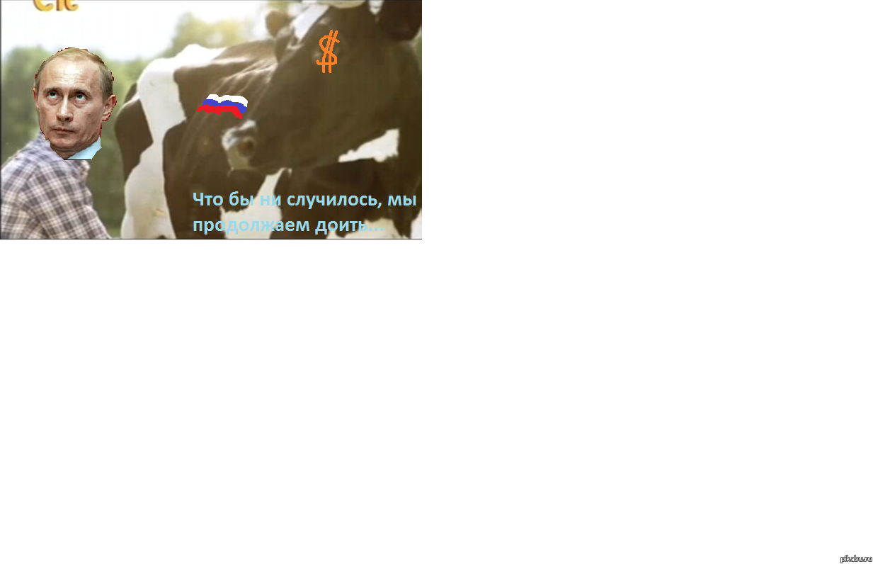   ...  ...    ...