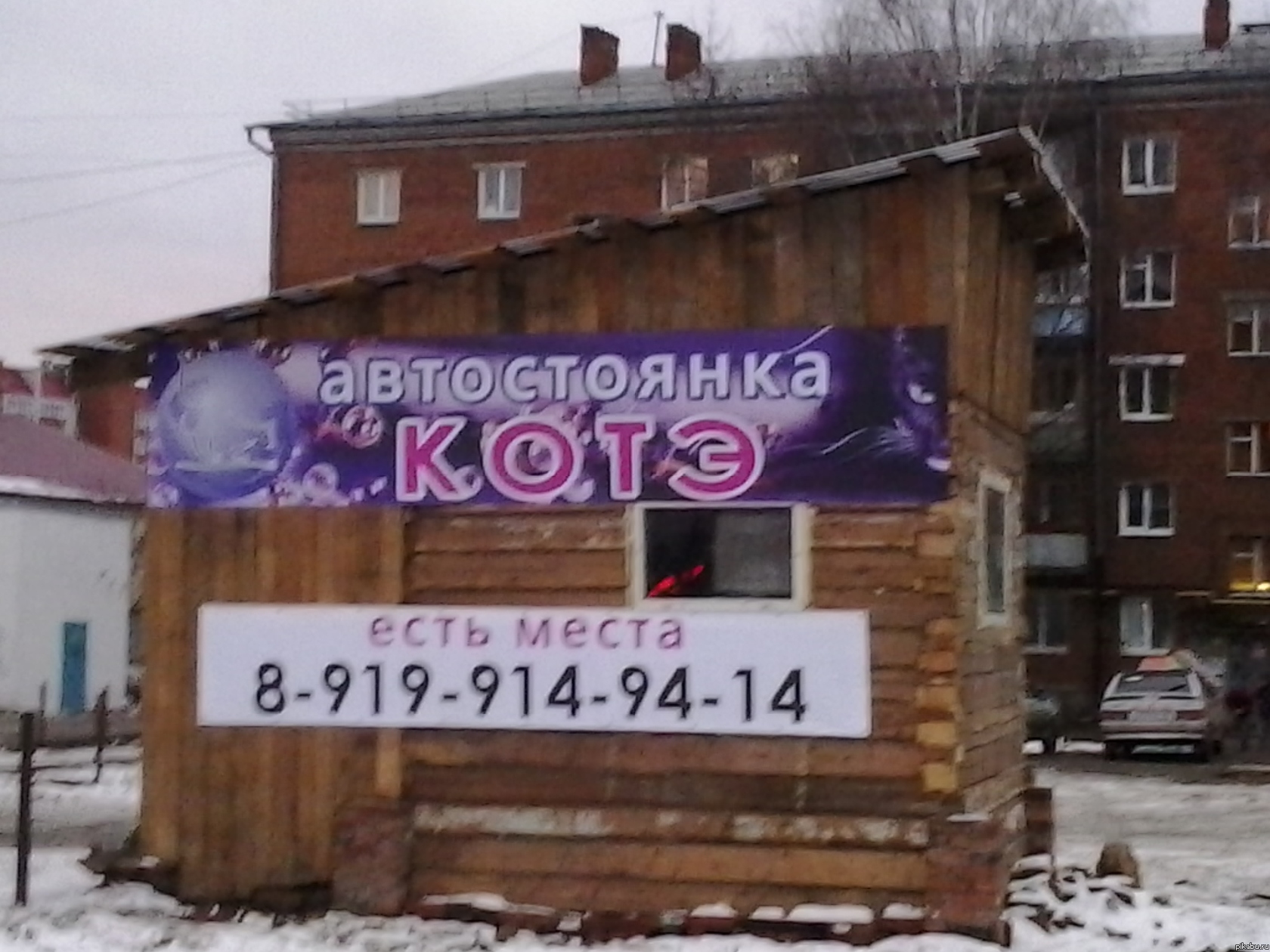 стоянка для котов)))