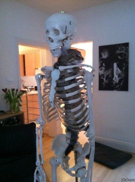 ������ ��� ����� ����� ������ �������.