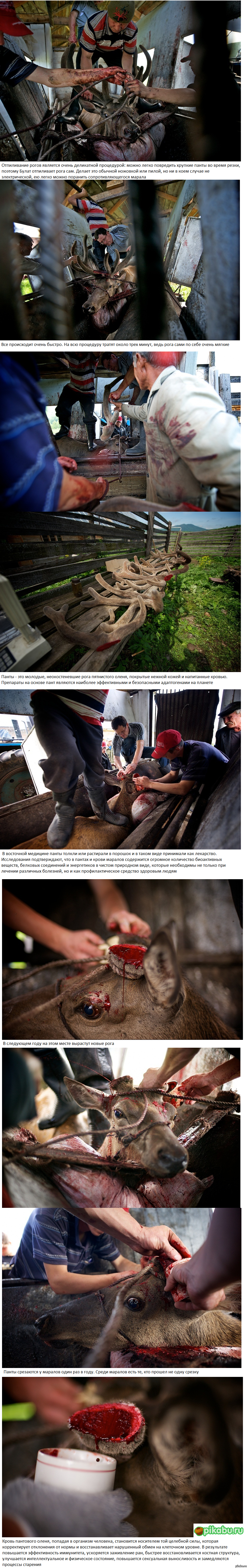 ��������� ���� (����� 2)