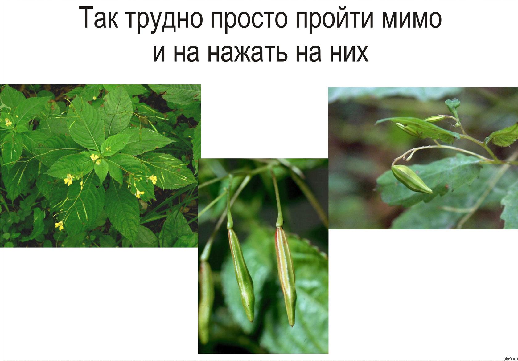 Не могу удержаться