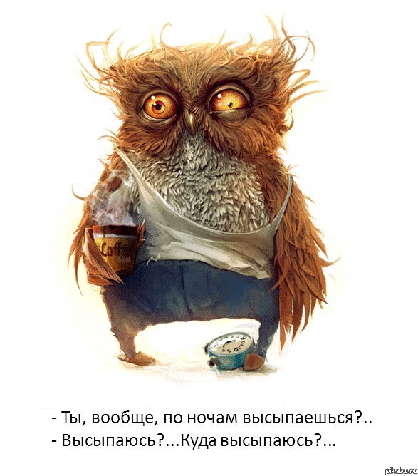 ����, �� ������ �����������?