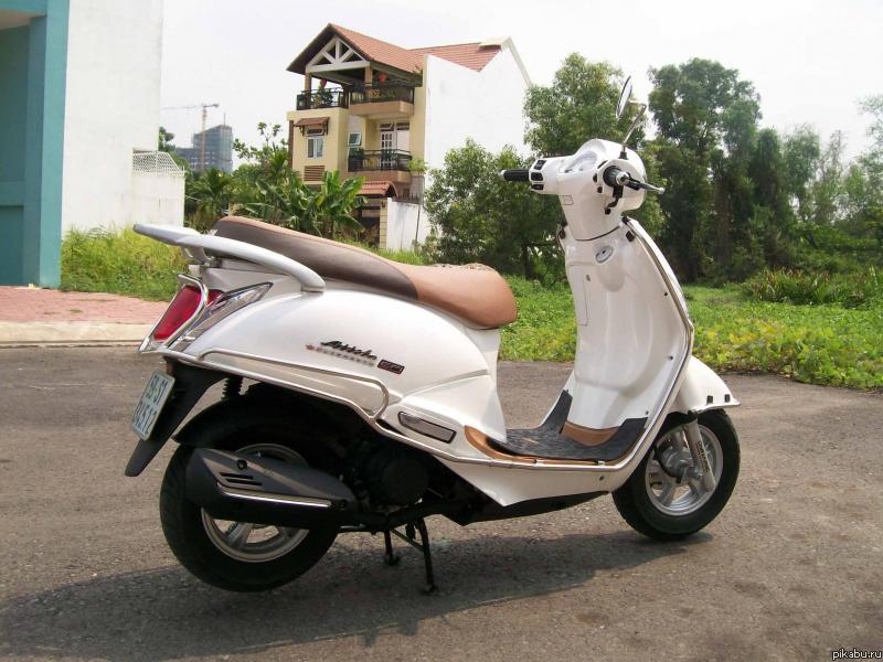 � ��� ���� ����, sym attila elizabeth efi 2012