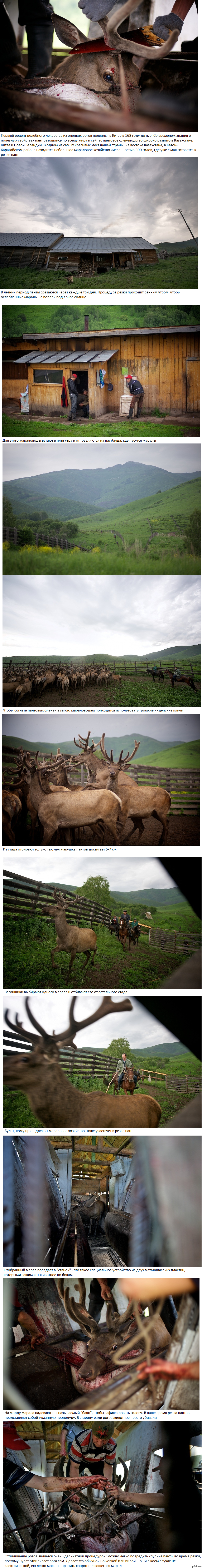 ��������� ���� (����� 1)