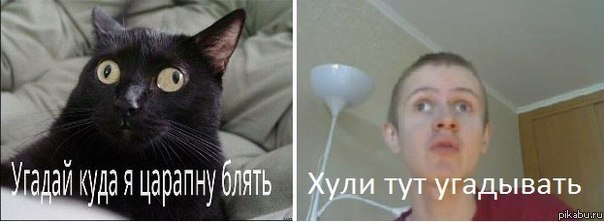 ����� �����
