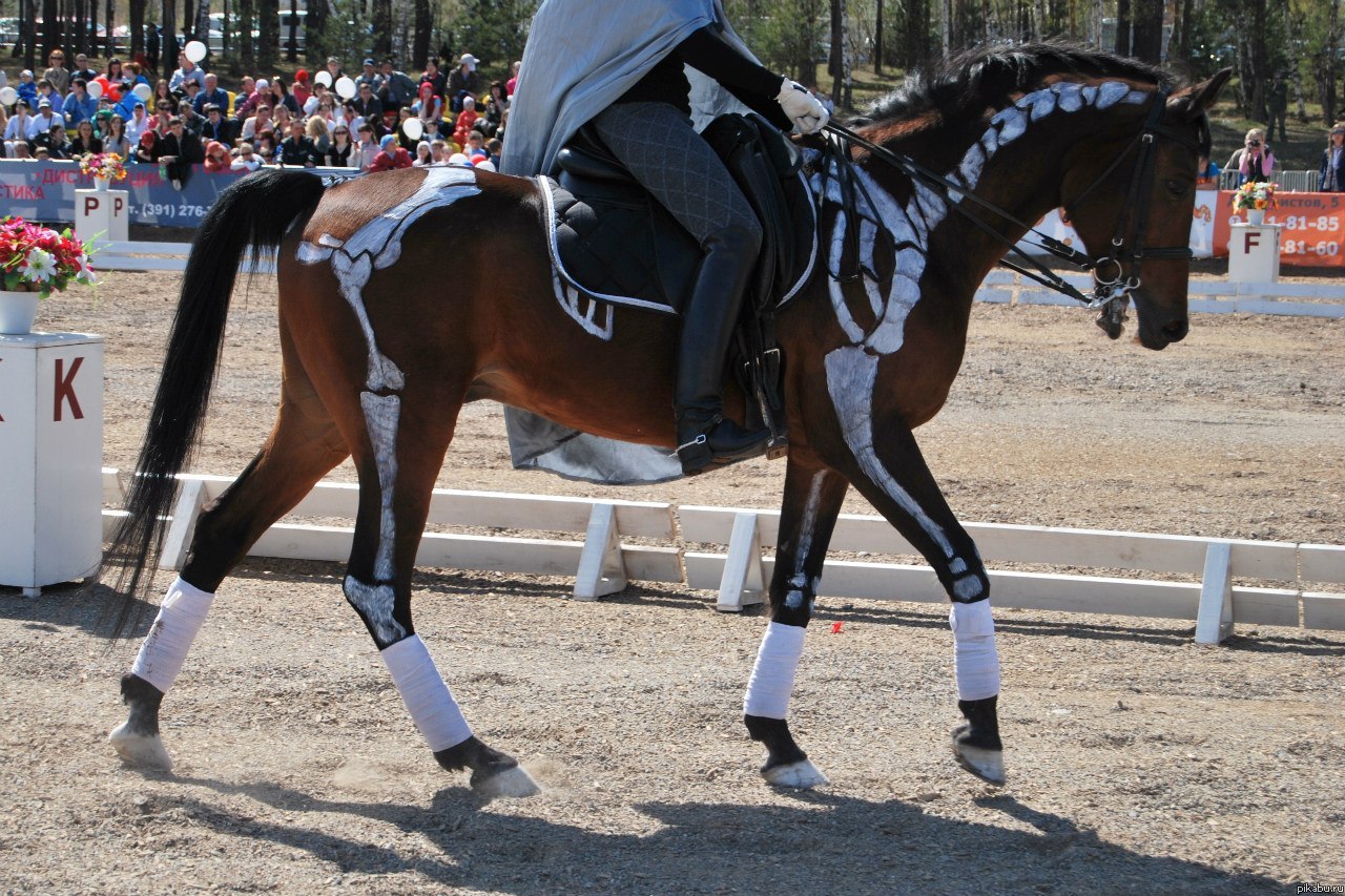 "����������"