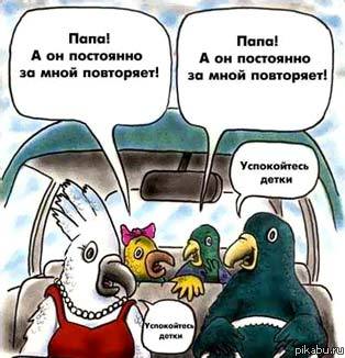 Попугаи...они такие)