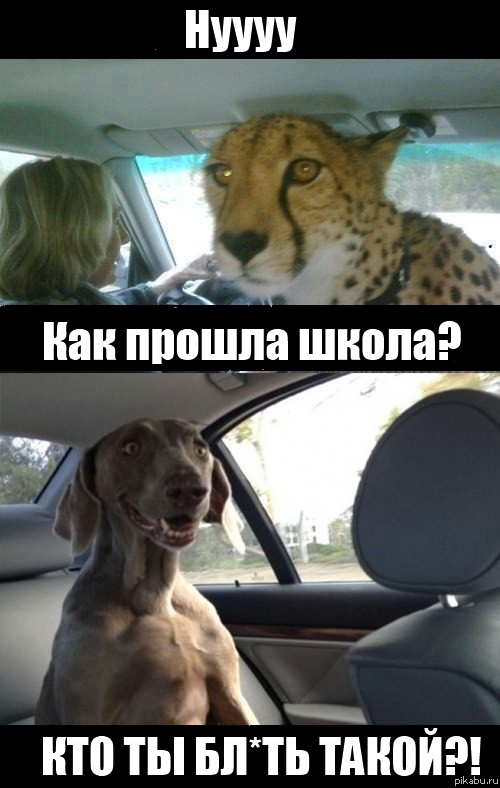 ��� ������ �����?