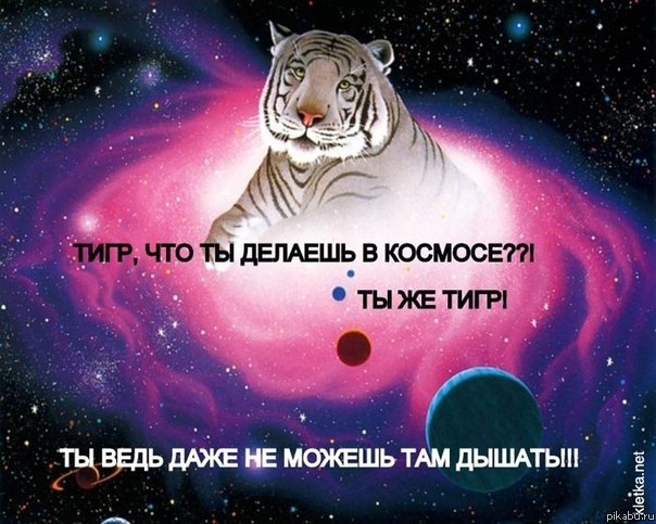 �����, ����� �����