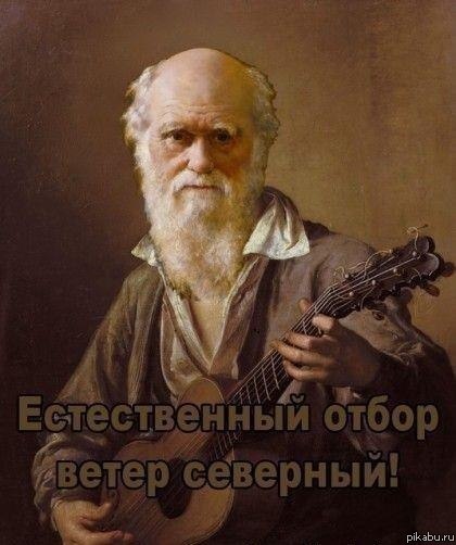 Ветер северный...