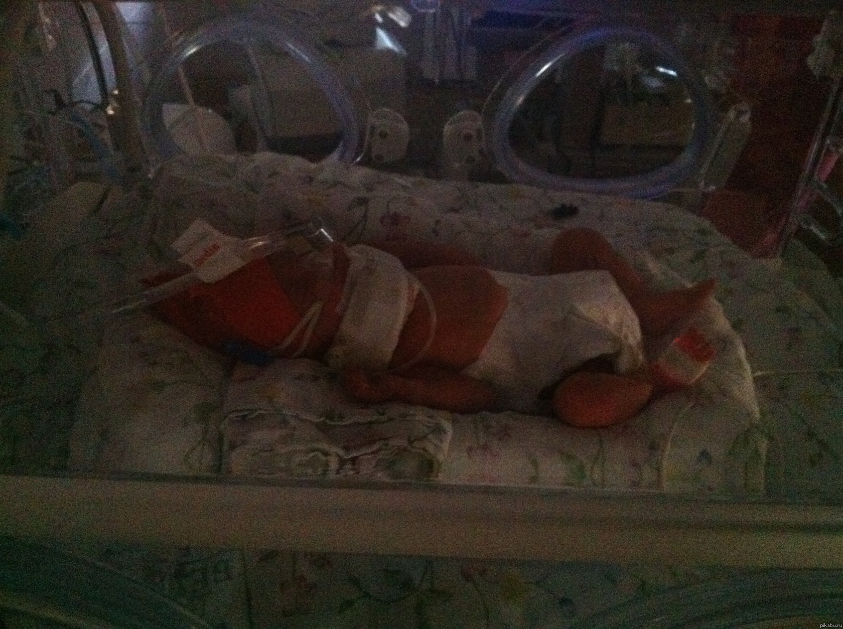 � ����� ������� ��������� ������ � ������� ������ �������� ��� �����